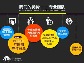 破局新生 不知名企业新品牌，如何从销售困境中突围？——市场营销全案策划