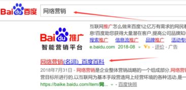 网络营销前景深度解析与市场营销策划实操指南